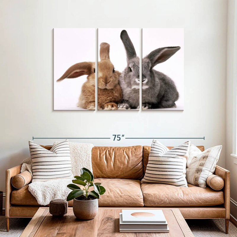 Lapins bruns et gris Brampt, H 36 po x l 57 po