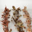 60" Artificial Eucalyptus Fall Garland Set of 3, Multicolor