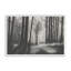 «Secret Tract I» par Michael Willett, reproduction d'art-234957101-234957103-234957106