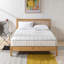 Katz Medium 8" Pocket Spring Mattress-2145011147
