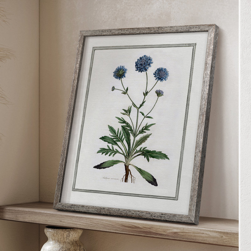 «Soft Botanical II», reproduction encadrée - bois massif 47461, H 11 po x l 9 po