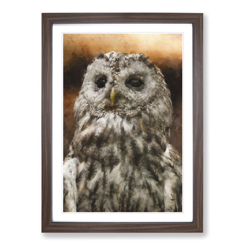 Tawny Owl Vol.1 - Picture Frame Graphic Art, 36cm H x 27cm W x 2cm D, Walnut