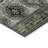 Machine Washable Indoor/Outdoor Claudian ACN1626 Fern Rug-104240246