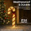 Decoration-1636688292