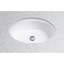 Dartmouth® Vitreous China Oval Undermount Bathroom Sink with Overflow-3850016