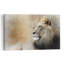 Majestic Lion Gaze Contemporary Wall Art Print 1 Piece Wrapped Canvas Wall Art-1586072335