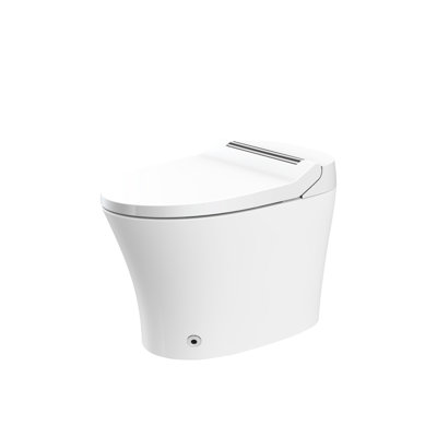 Toilette de salle de bain avec siège chauffant et option de chasse double chasse puissante