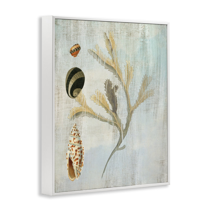Giclée encadrée de coquillages et de coraux mélangés, conception de Susan Arnot, H 30 po x l 24 po