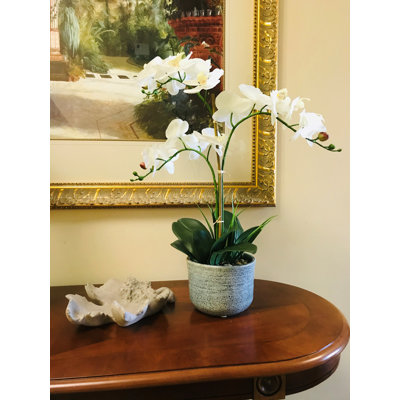 Orchidées artificielles en pot