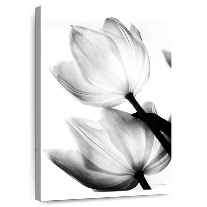 Harnek Translucent Tulips III, 51" H x 34" W