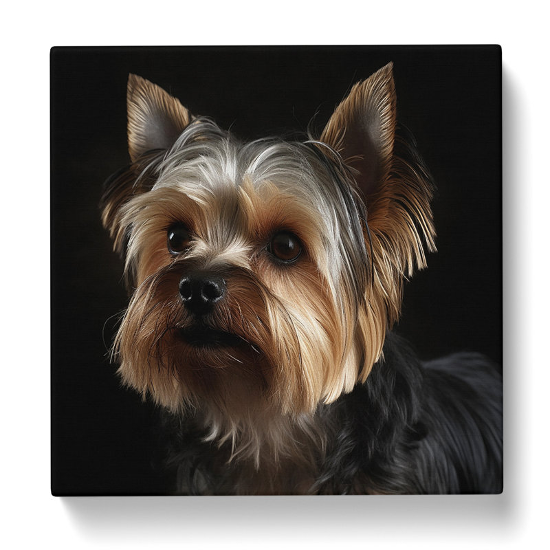 Print, 35cm H x 35cm W x 3cm D
