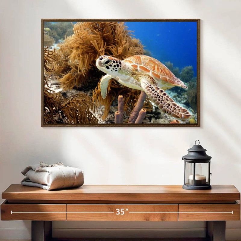 Tortue de récif, 25 po x 17 po, Cadre flottant noyer