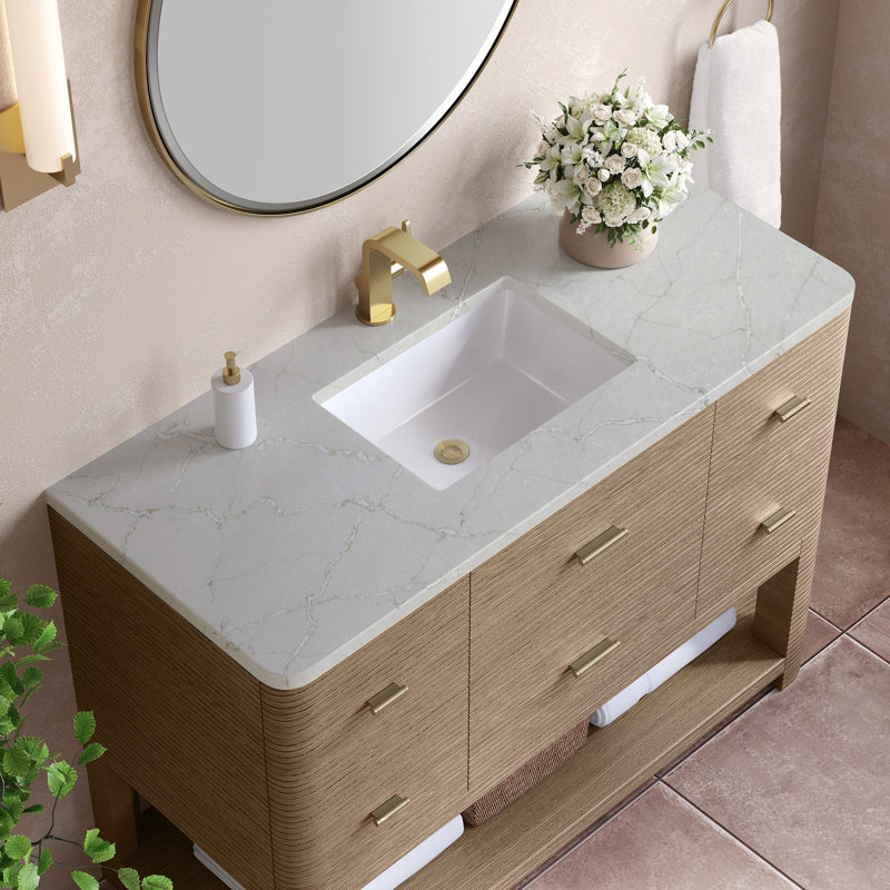 Lucian 48'' W Single Vanity, Victorian Silver