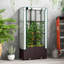 Elevated Planter