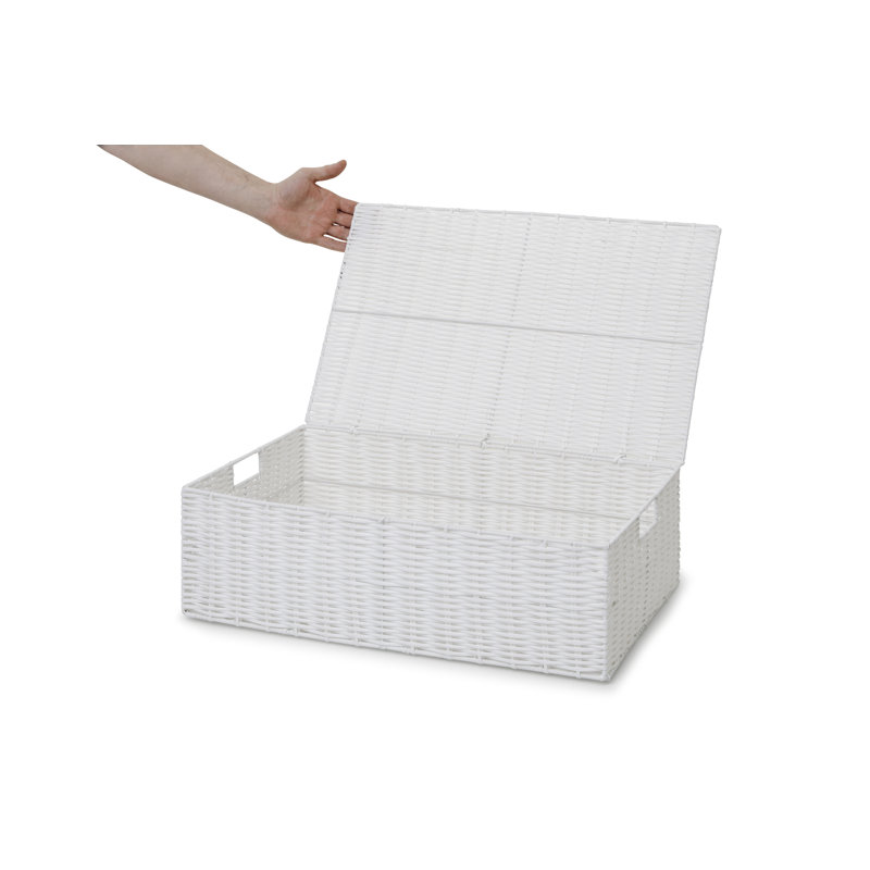 August Grove Plastic Decorative Bin, 17cm H x 56.5cm W x 36cm D