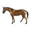 Standing Horse Bronze Statue Equestrian Sculpture Figurine 20"x5"x14"H
