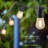 Loudonville 48ft 15-Bulb Solar-Powered Outdoor Standard String Light Shatterproof