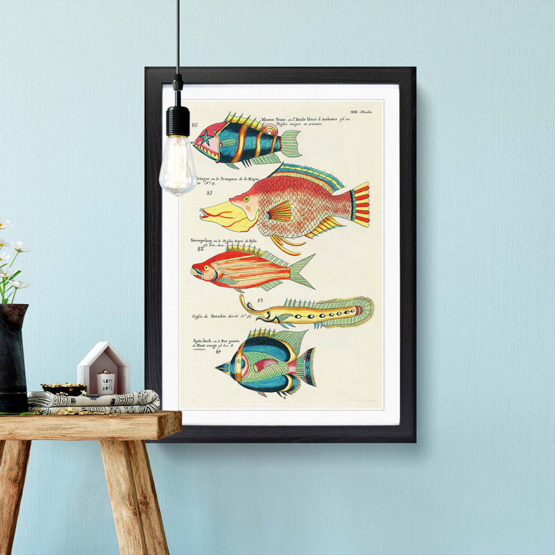 East Indies Fish Illustrations XVII by Louis Renard - Picture Frame Graphic Art Print, Black Framed, 36cm H x 27cm W x 2cm D