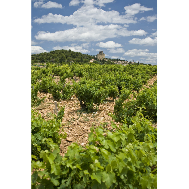 Vineyard In Provence - Wrapped Canvas Print, 91cm H x 61cm W x 3.8cm D