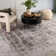 Oriental Indoor Rug