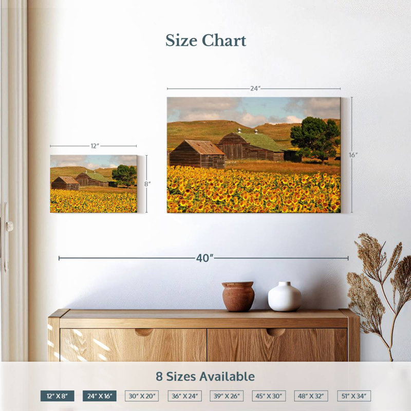Champ de tournesols Alvord, H 16 po x l 24 po