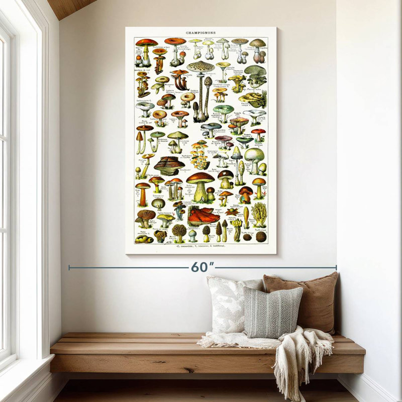 Yarlin Mushroom Varieties, 51" H x 34" W