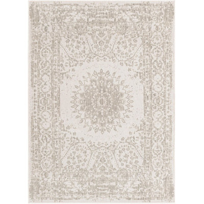 Transitional Hintz Area Rug Grey Colour