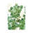 Zanzibar Gem II by Melissa Wang - Wrapped Canvas Gallery-Wrapped Canvas Giclée-69245963