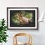Red Squirrel Vol.2 - Picture Frame Painting-62823549-62823550