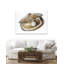 Oyster 3-41751040-41751041