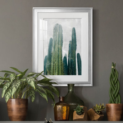 Aruba Cacti I - cadre photo, impression