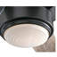 Prochoros Ceiling Fan with LED Lights