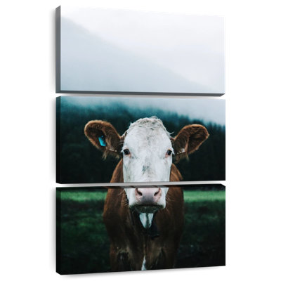 Vache laitière autrichienne Brampt