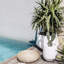 Pot de fleurs Dorlis Fiberstone-930299739-930299744