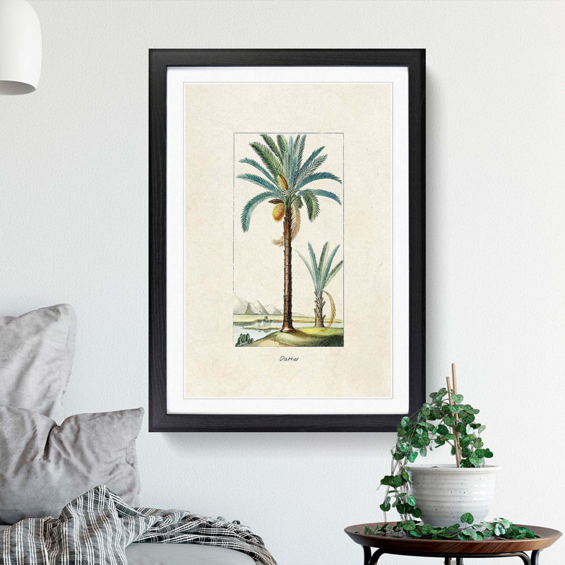 Illustration of a Date Palm Tree - Picture Frame Graphic Art Print on MDF, 36cm H x 27cm W x 2cm D, Black Framed