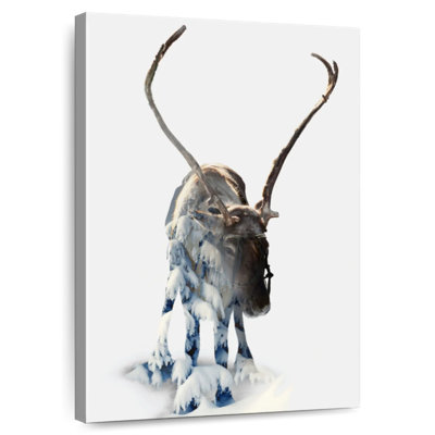 Moose
