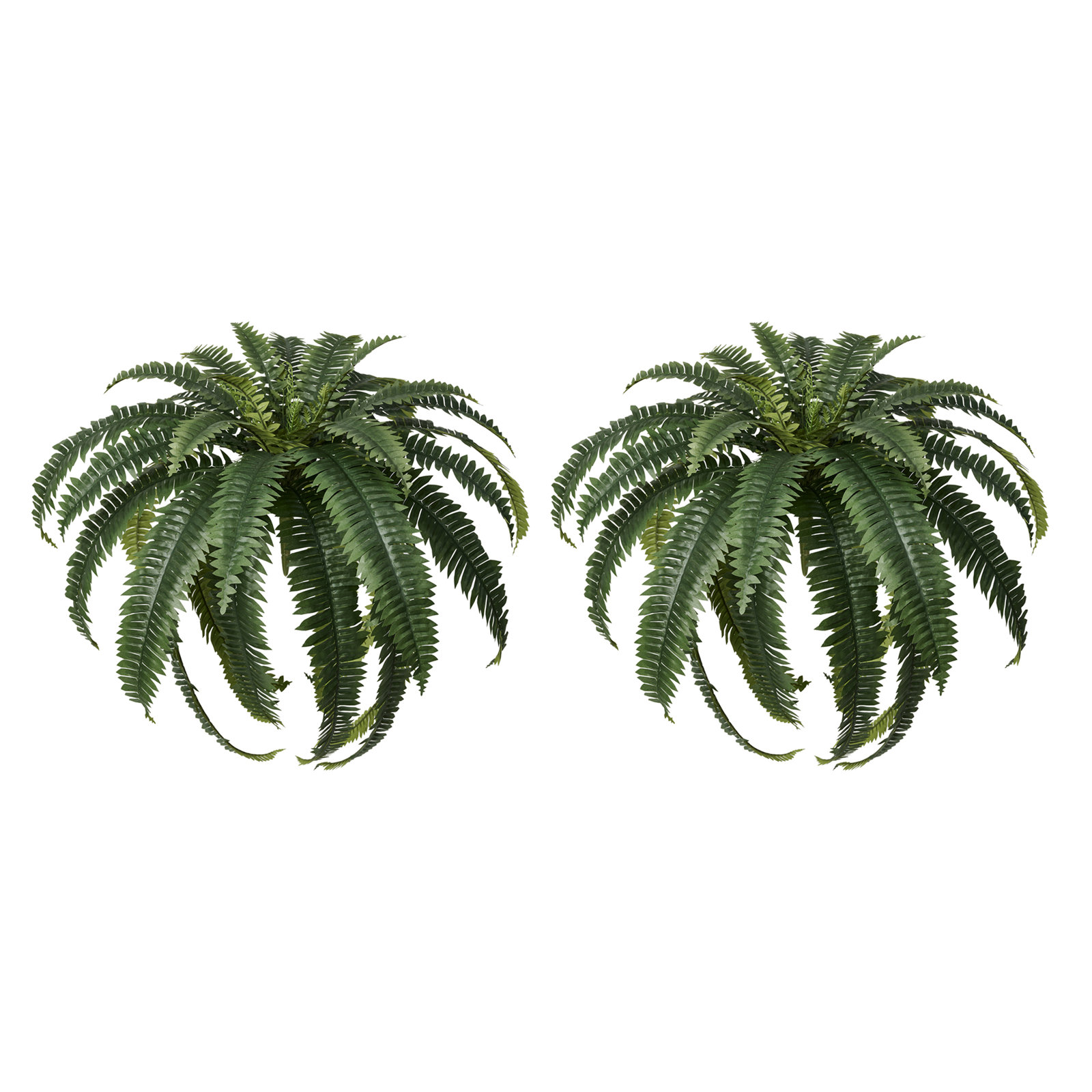 Adcock 39" Fern Plant, 2
