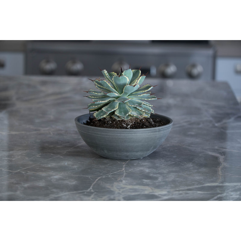 Cara Composite Bowl Planter Set, 4.75" H x 12" W x 12" D, Charcoal