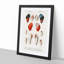 Mollusc Shell Illustrations PL. 20 by Charles D' Orbigny - Picture Frame Graphic Art Print-55610193-55610195