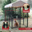 Chenils de la série Lucky Dog Stay-62246692-62246690