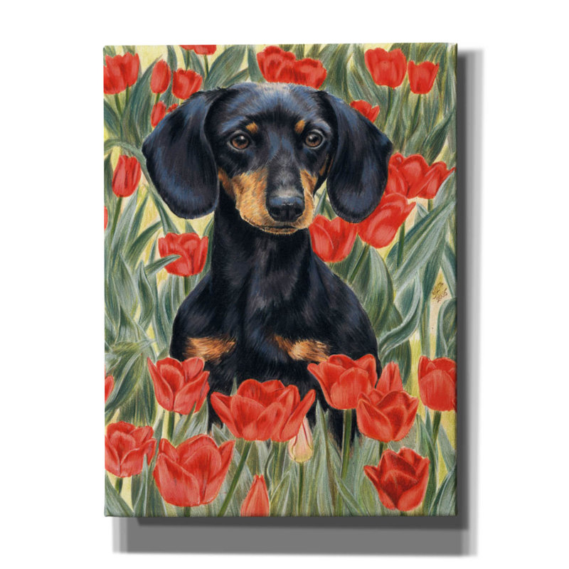 «Dachsund In Tulips» par Barbara Keith, art mural sur toile, H 16 po x l 12 po x P 0,75 po