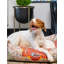 Tapis pour lit de qualité supérieure Rugs.com-100613956-110734651