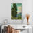 Harnek Cypresses-106962475