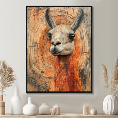 Gillison Llama Portrait At The Mountain