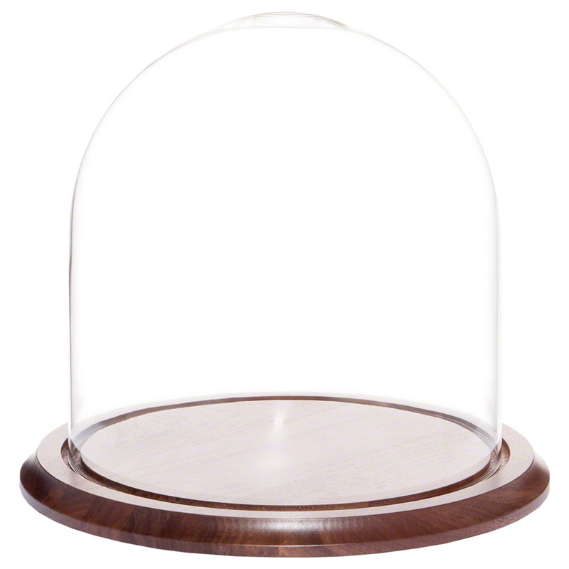 Cloche en verre Vucciria, Base noyer, H 20 po x l 9,75 po x P 9,75 po
