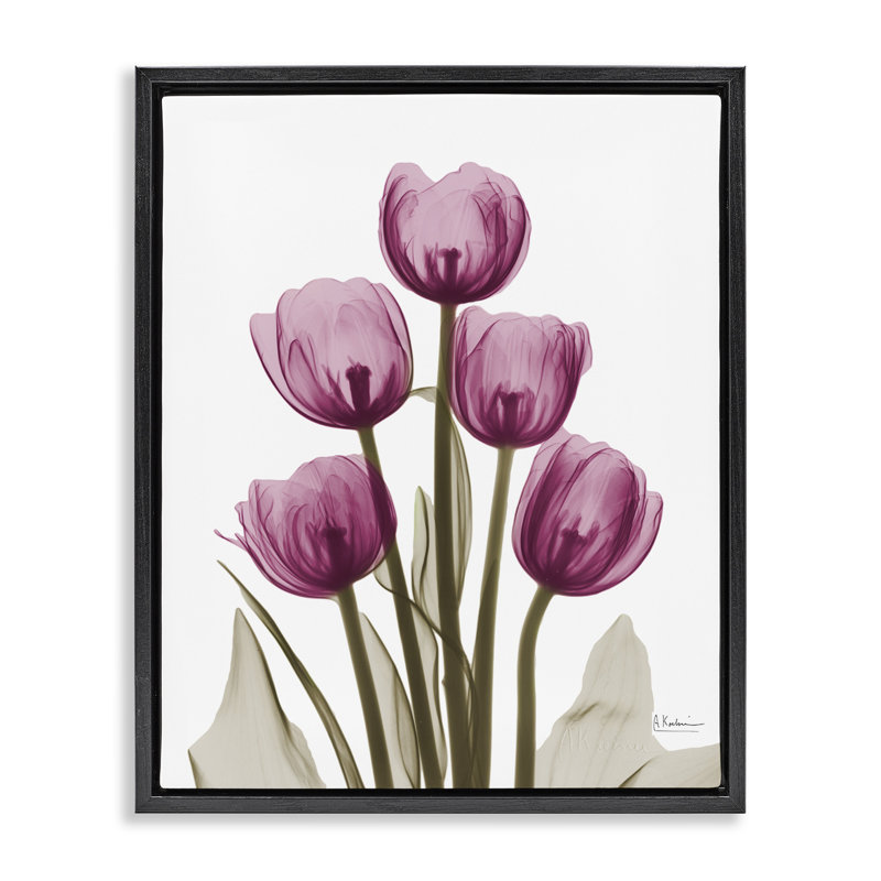Pink X-Ray Tulips, 17" H x 21" W, Jet Black Floater Frame