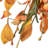 36" Autumn Wildflowers Swag
