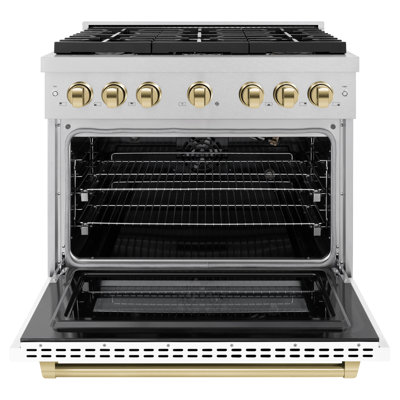 ZLINE Autograph 36" Paramount Dual Fuel Range w/ 6 Burners & Polished Gold Accents (SDRZ-36-G)