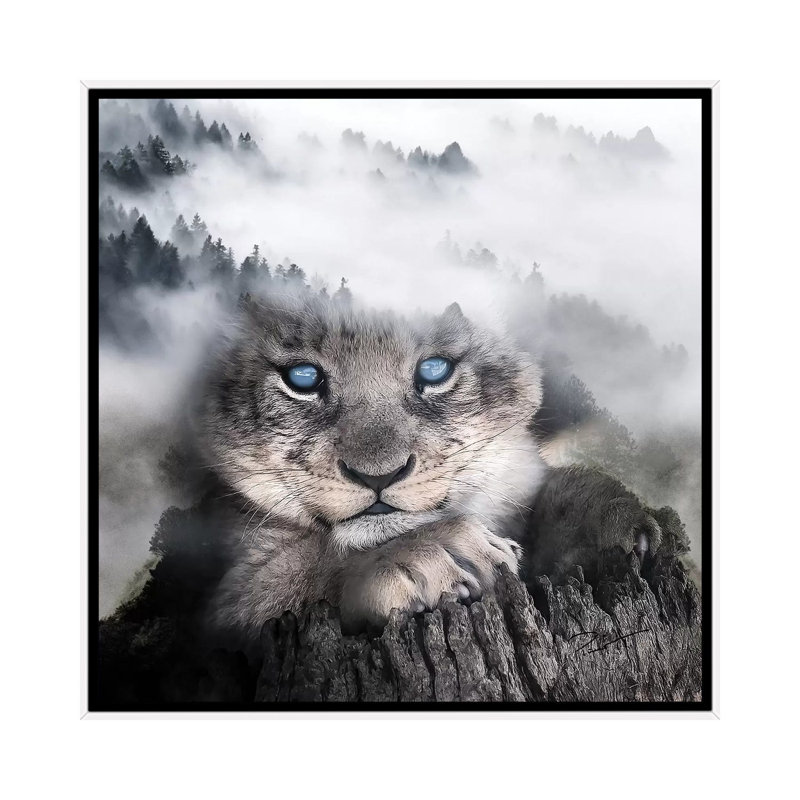 Cub by Paul Haag - Print on Canvas, 45.72 cm H x 45.72 cm W, White Framed