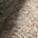 Jeccica Distressed Vintage Medallion Jute Blend Polyester Area Rug